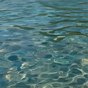 H2O