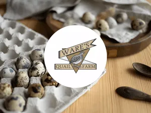Ware's Quail Farm