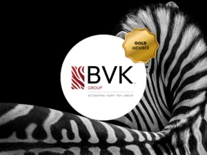 BVK Professional Accountants